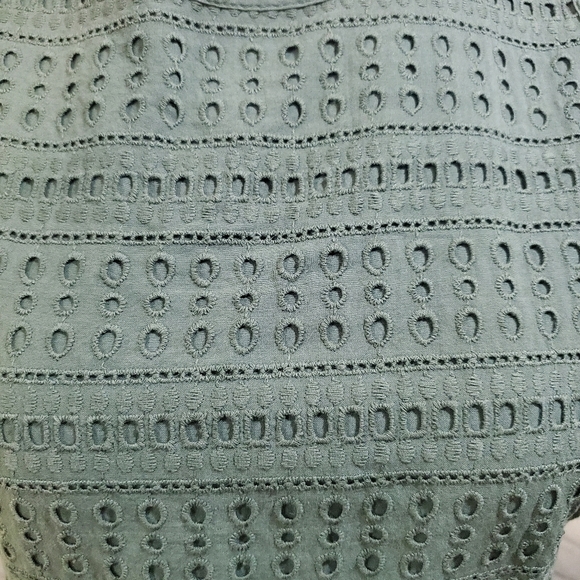 GAP Fit & Flare Lined Eyelet Zip in Back Sleeveless Dress Cool Olive Size 10 - Picture 2 of 8